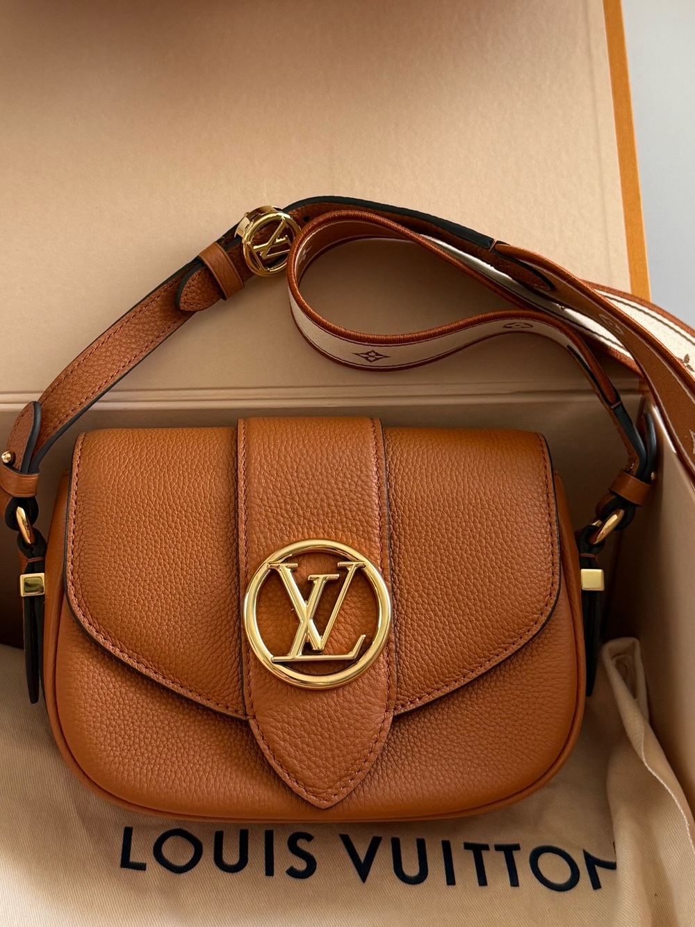 Louis Vuitton LV Pont 9 Soft Brown Crossbody Bag